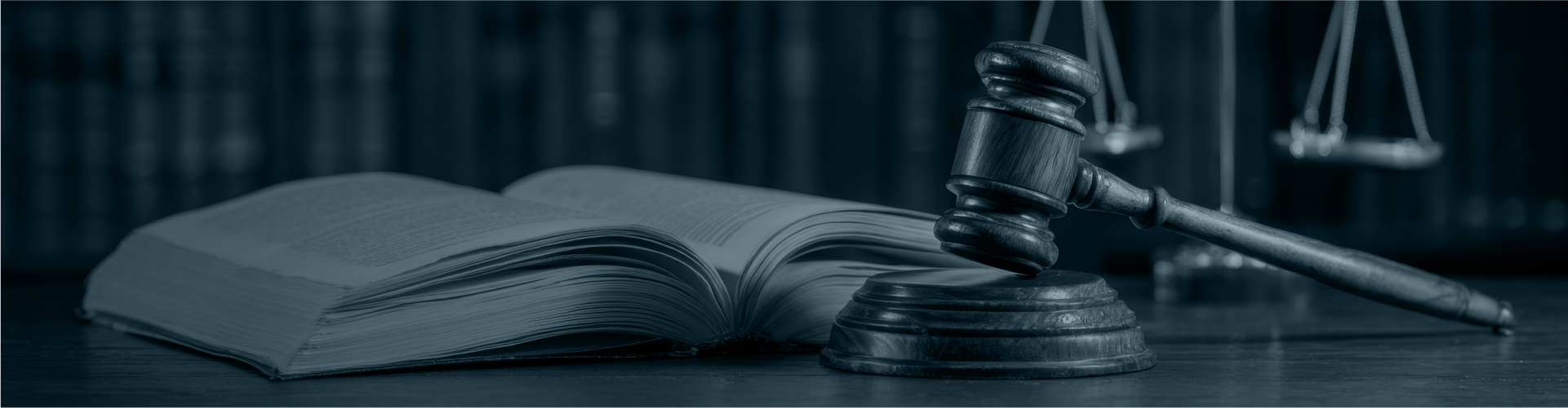 Banner Direitos do(a) Titular