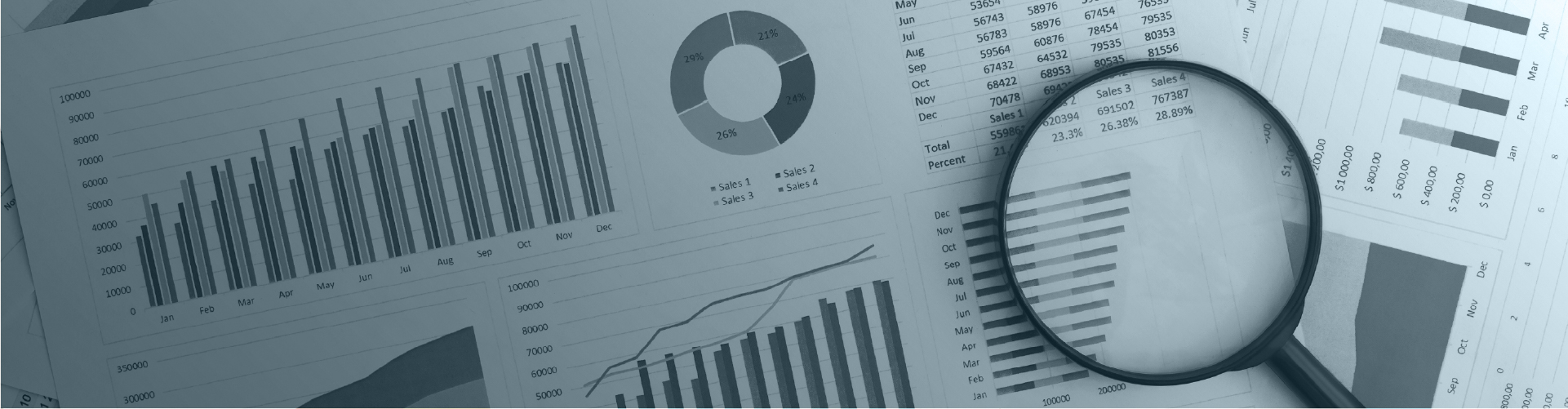 Banner ESCI em números