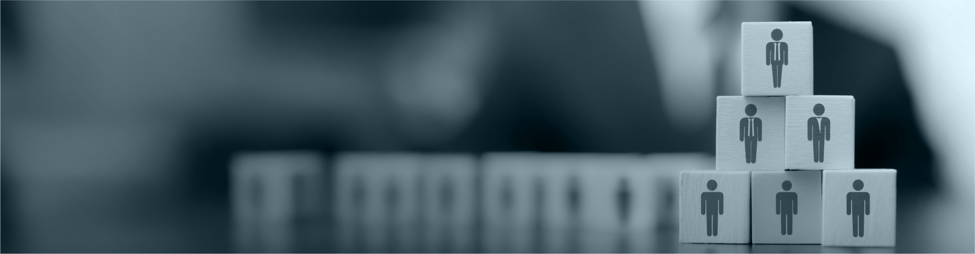 Banner Estrutura Organizacional