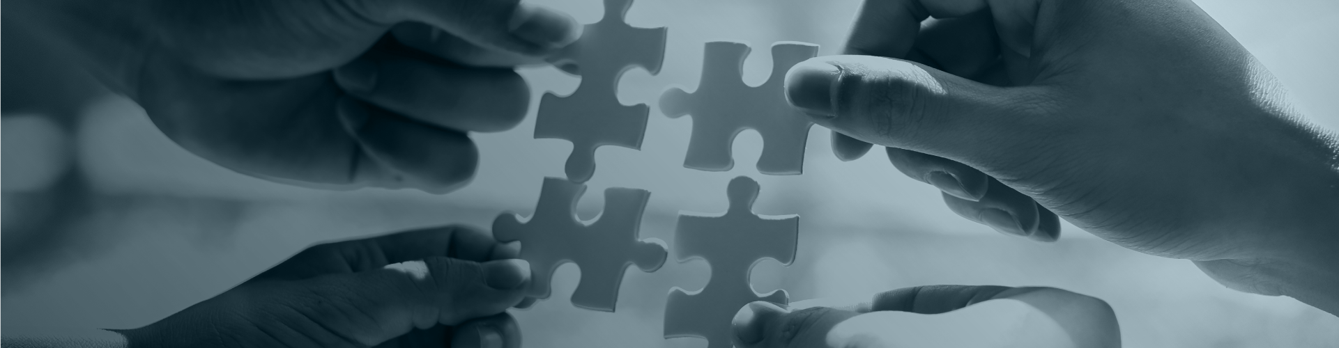 Banner Programa de Integridade Pública